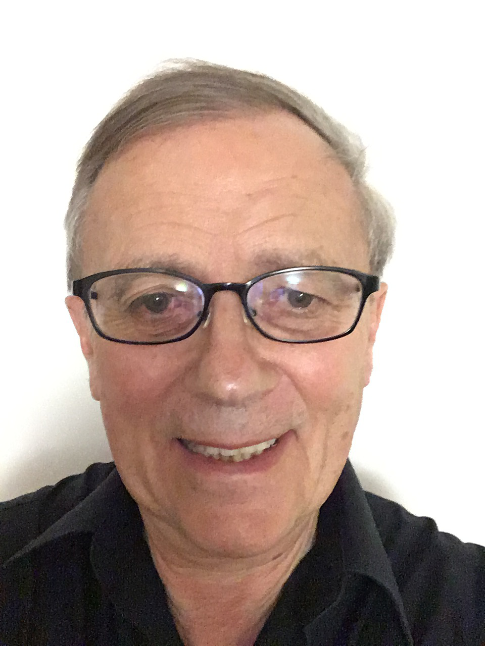 Foto del Prof. Michel M. Chipot