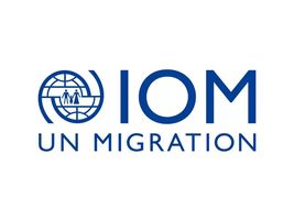 Logo IOM