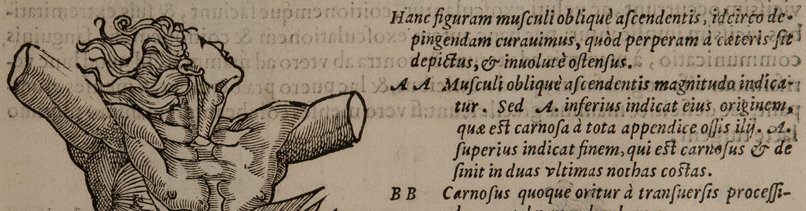 busto di uomo in torsione con scritte latine