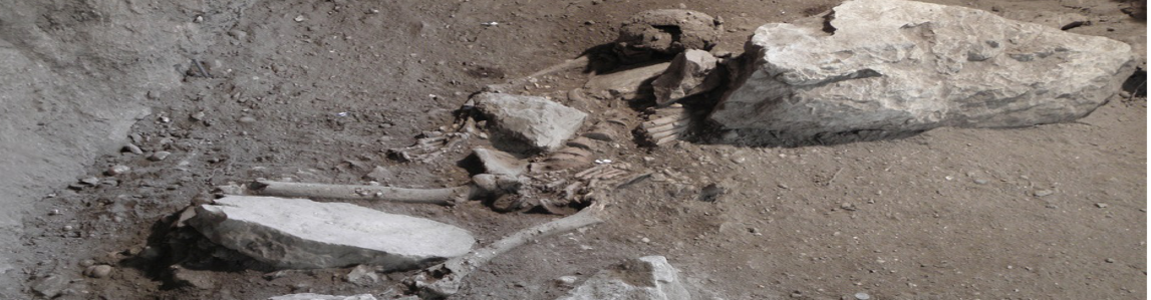 giovane del Mesolitico