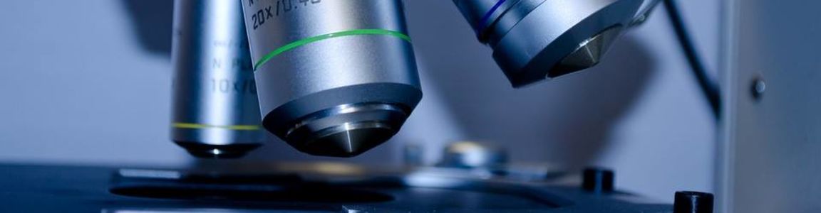 microscopio