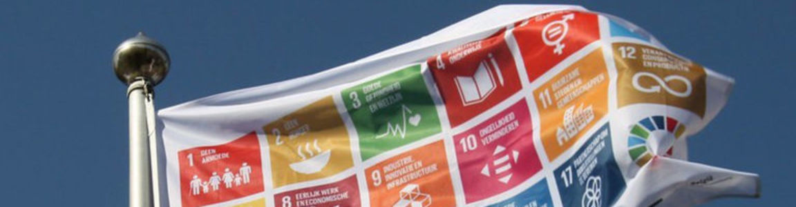 bandiera con i logo dei 17 SDG agenda 2030