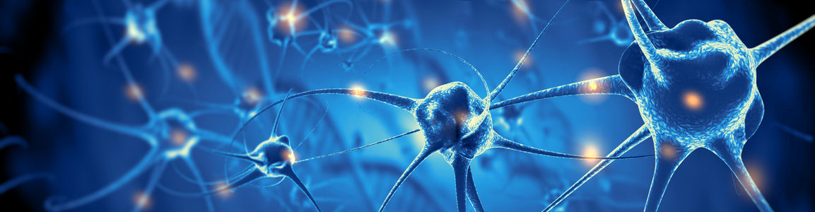 differenziamento motoneuroni RNA non codificante