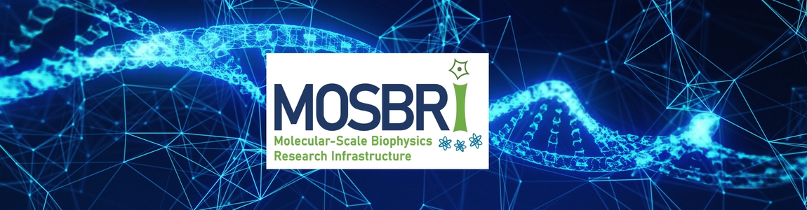 logo del consorzio Mosbri e immagine stilizzata del DNA