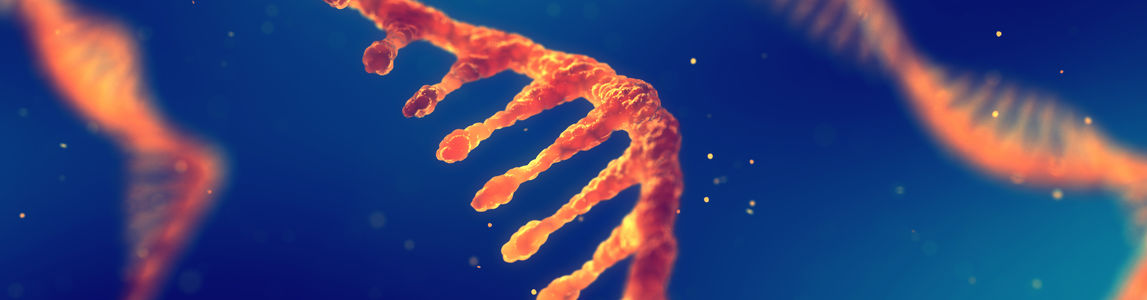 mRNA mRNA