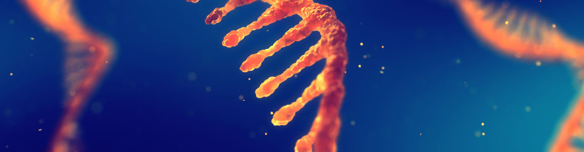 RNA circolare RNA circolare