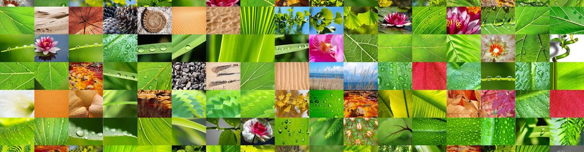 biodiversity biodiversity
