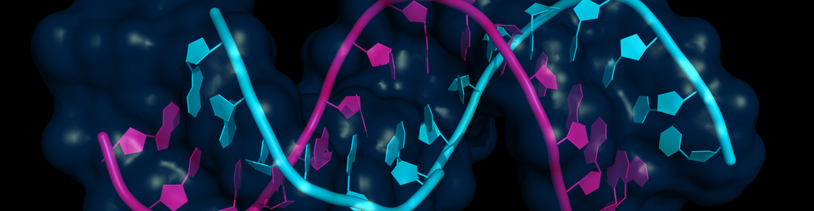 microRna linfomi aggressivi