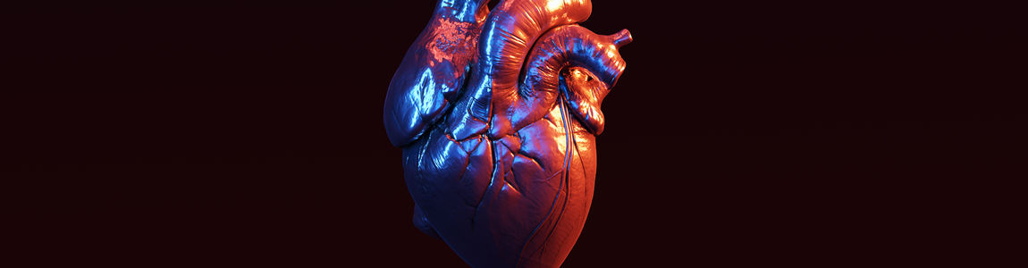 cuore