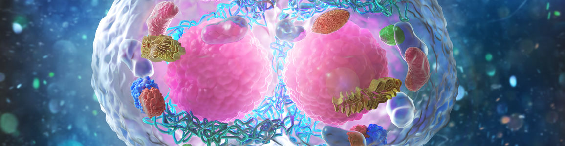 doppia vita proteine cromatina