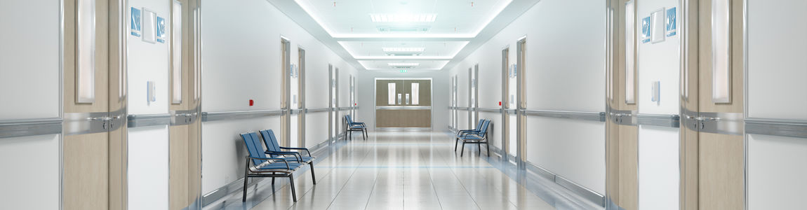 immagine decorativa