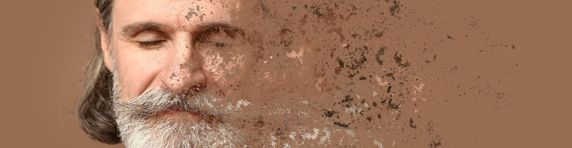 immagine decorativa