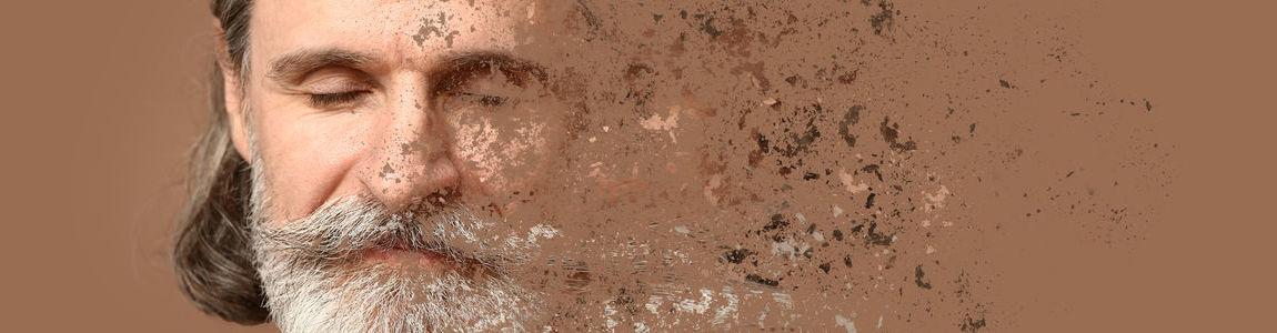 immagine decorativa