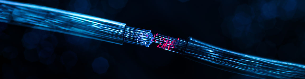 fibra ottica