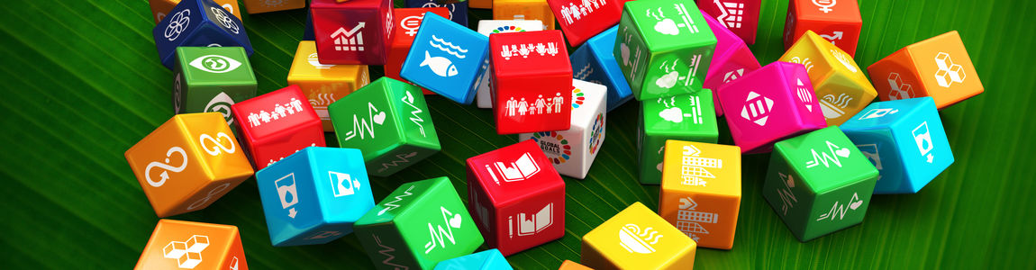 dadi appoggiati su una foglia, con indicazione degli Sdg