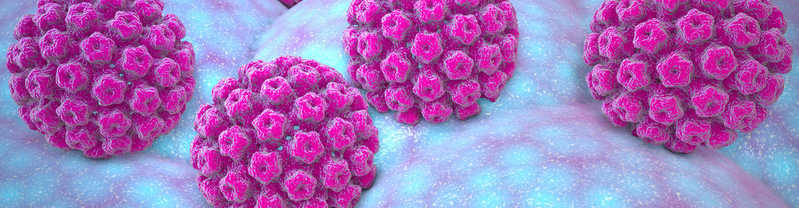 Immagine ingrandita del virus HPV