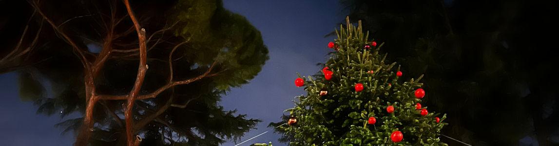 Albero di natale della Sapienza - Foto di Stefania Sepulcri