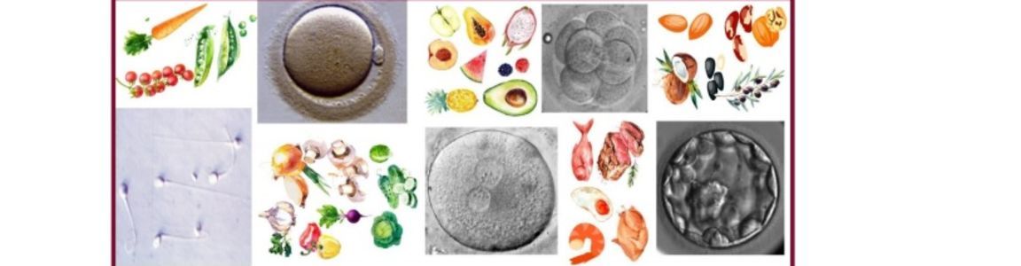Master Biologia della Nutrizione per la Riproduzione Umana