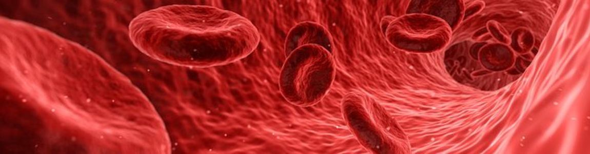 Master Patient Blood Management (PBM)