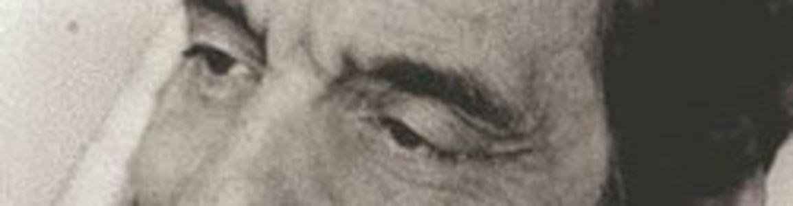 Ritratto di Calvino