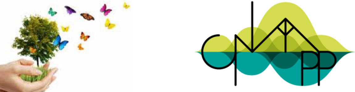 Immagine decorativa