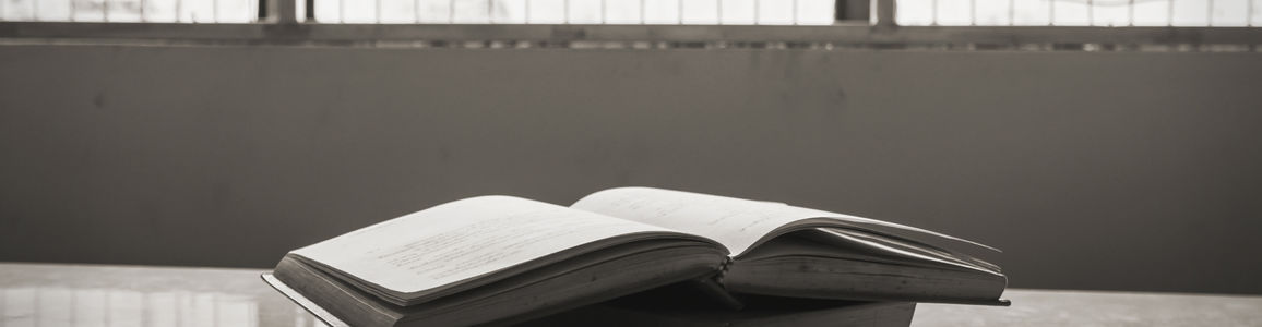 Libro aperto su una scrivania con dietro una rete