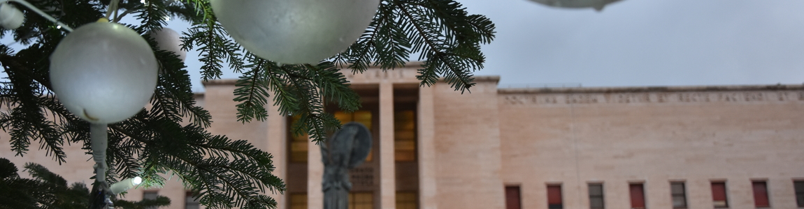 Particolare albero di natale - Foto di Stefania Sepulcri Particolare albero di natale - Foto di Stefania Sepulcri
