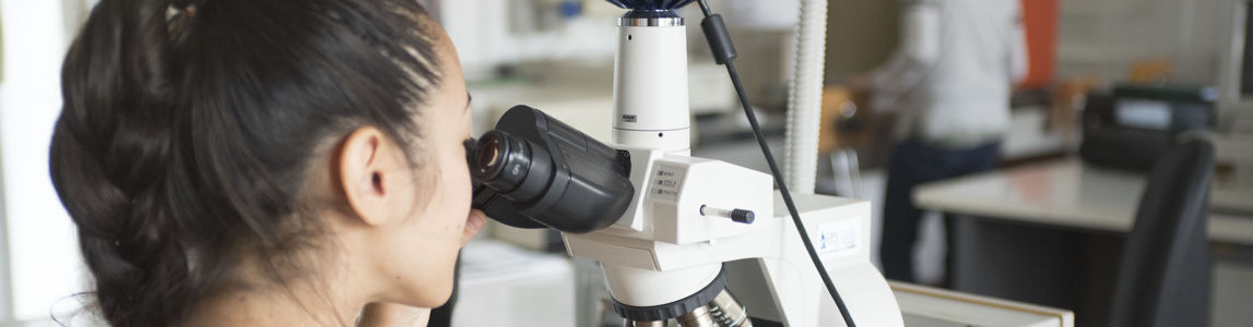 ragazza osserva al microscopio