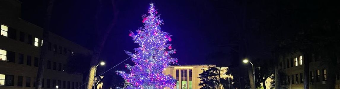 albero di natale Sapienza