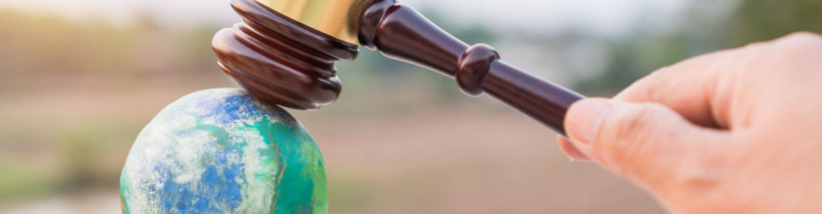 Master Diritto dell’ambiente