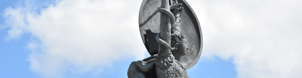Immagine della Minerva
