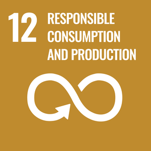 logo SDG 12