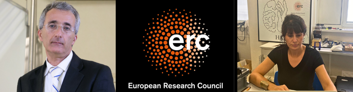 Salvatore Maria Aglioti, logo ERC e Viviana Betti
