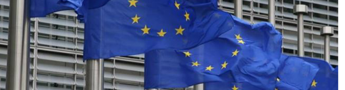 Master Europrogettazione e professioni europee