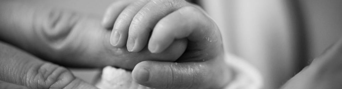 Master Family home visiting: valutazione ed intervento clinico per la genitorialità a rischio nella perinatalità