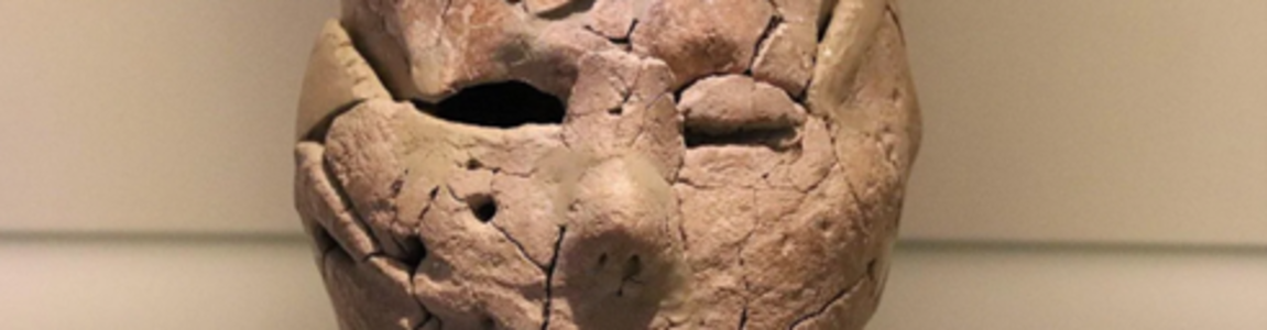 DNA popolazioni Arco Meridionale
