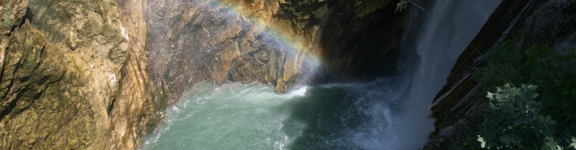 immagine decorativa