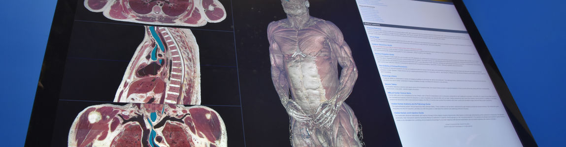 tavola_anatomica tavola_anatomica