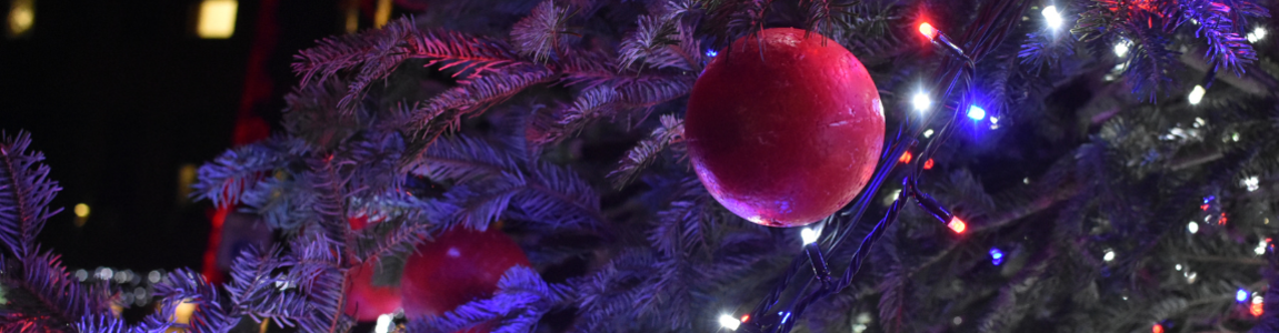 Pallina di natale