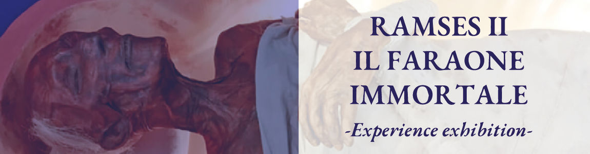 immagine decorativa