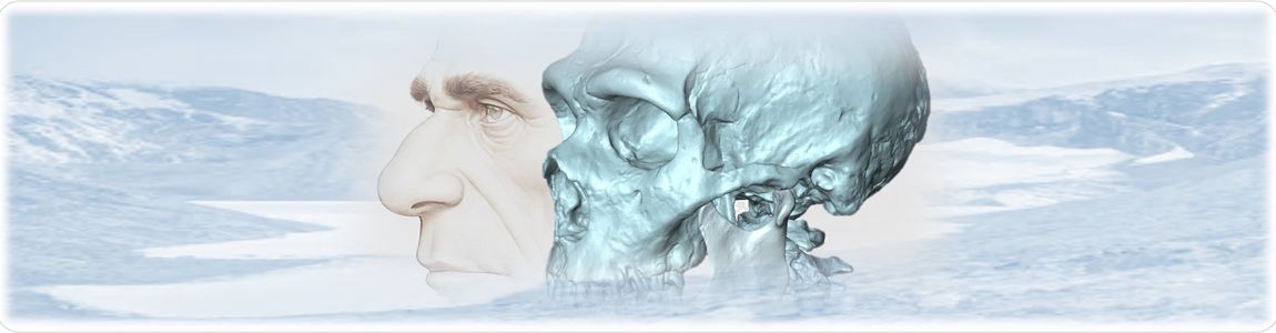 Ricostruzione della conformazione cranio-facciale dei Neanderthal Ricostruzione della conformazione cranio-facciale dei Neanderthal
