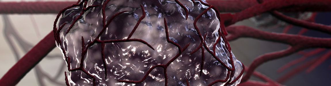 cellula