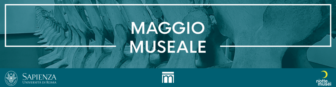 immagine rappresentativa