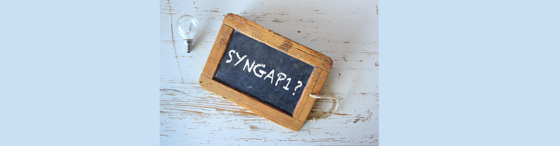 immagine decorativa