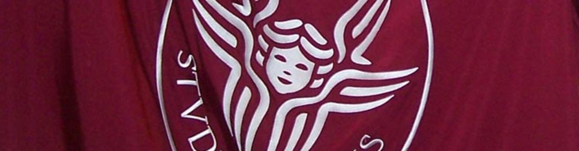 bandiera della sapienza