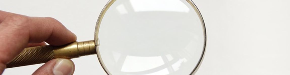 immagine decorativa