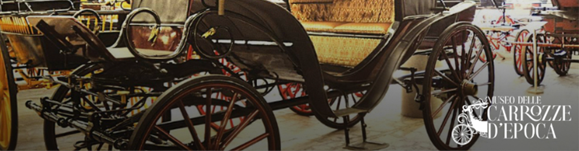 immagine decorativa