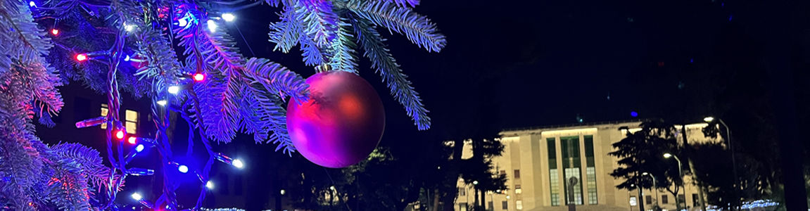 albero di natale Sapienza e rettorato