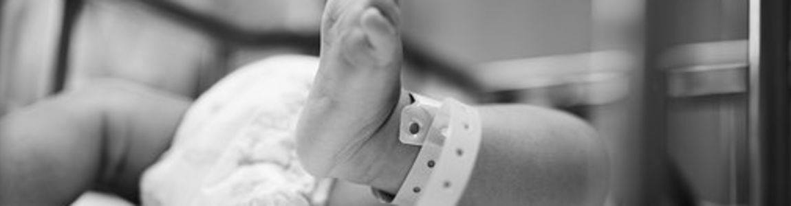 Master neonatogia
