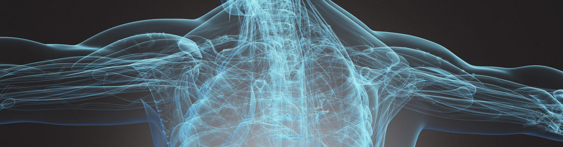 Master Neoplasie dell’apparato muscolo-scheletrico e sarcomi: diagnosi, trattamento e percorsi clinici